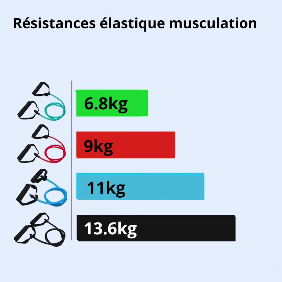 elastique musculation resistance differentes couleurs