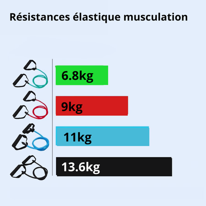 elastique musculation resistance differentes couleurs