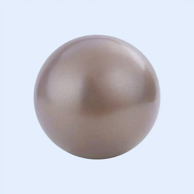 swissball-gris